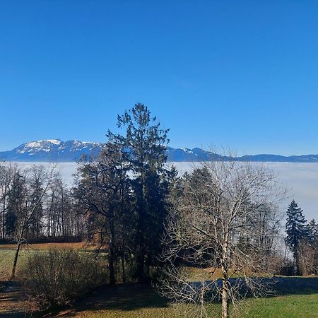 Gemuetliche Wohnung Mit Talblick Batschuns Exteriér fotografie