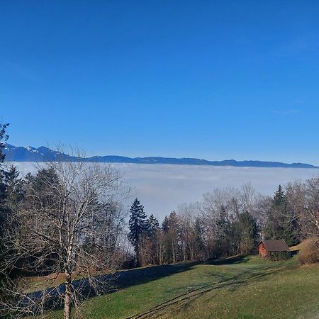Gemuetliche Wohnung Mit Talblick Batschuns Exteriér fotografie