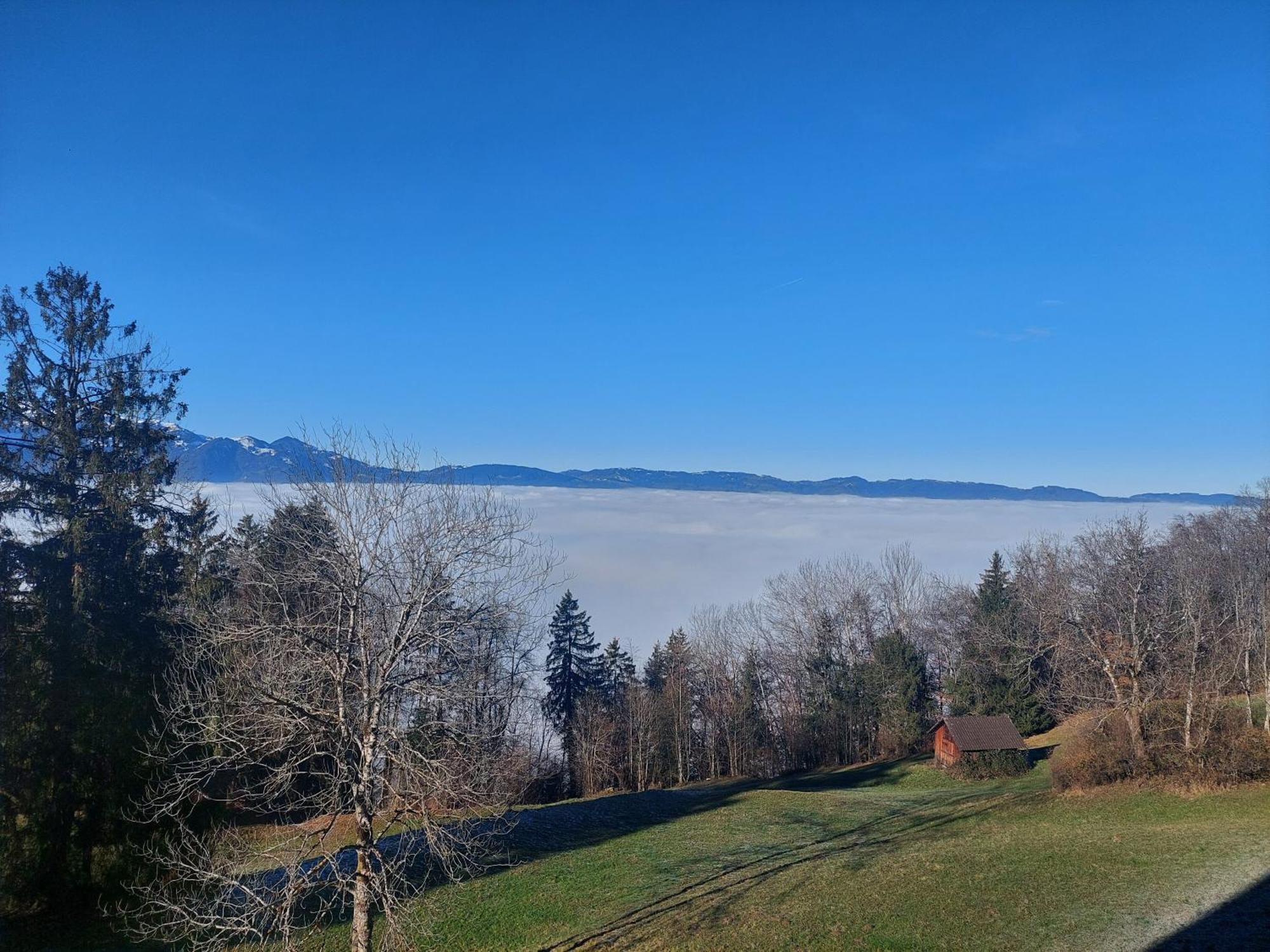 Gemuetliche Wohnung Mit Talblick Batschuns Exteriér fotografie