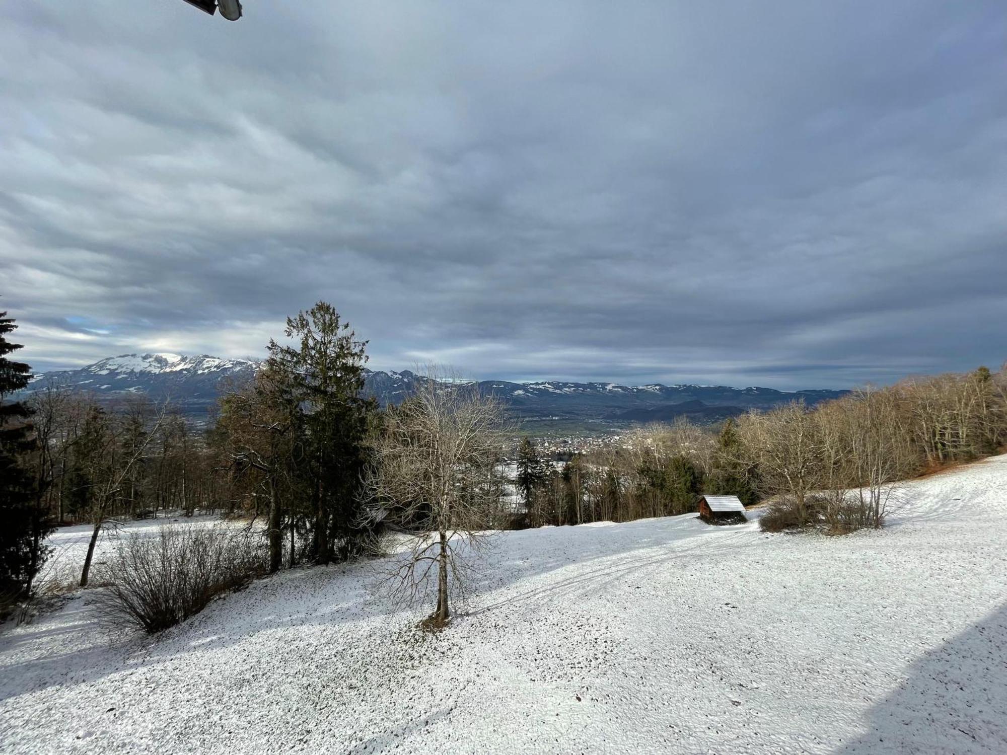 Gemuetliche Wohnung Mit Talblick Batschuns Exteriér fotografie